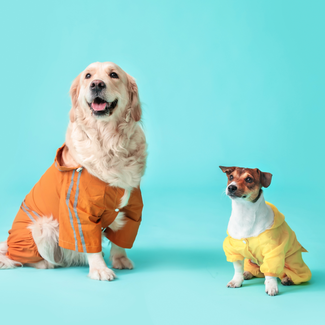 Pet Supplies